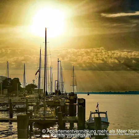 Appartamento Appartementvermittlung Mehr Als Objekt 50